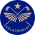 Villacoublay_logodetoure