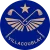 Villacoublay_logodetoure